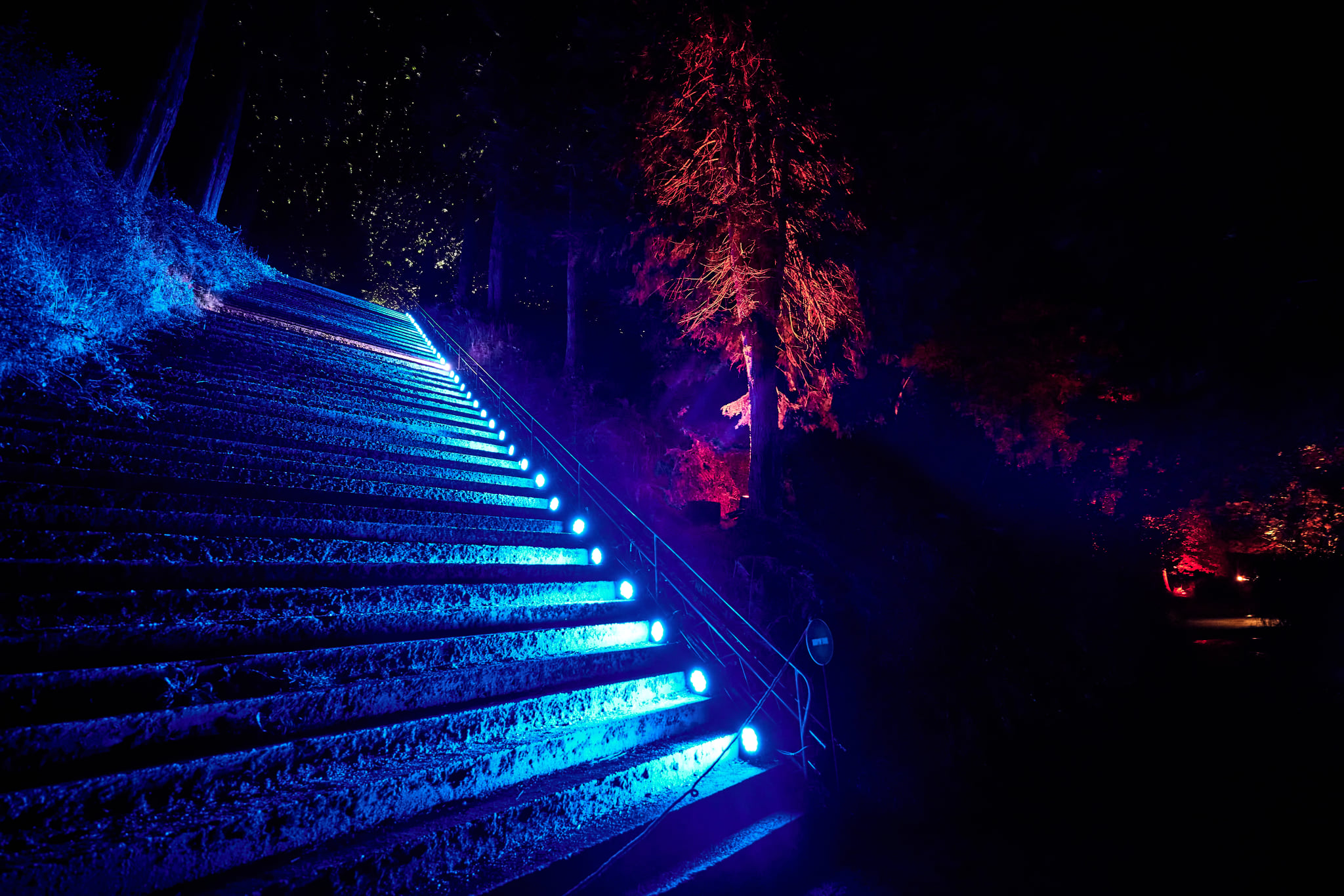 Phlippo Productions light audio sound licht Technical motion rigging Lanterna Magica forest tree lake gnome trail MB presents La Hulpe Belgium Belgie stairs