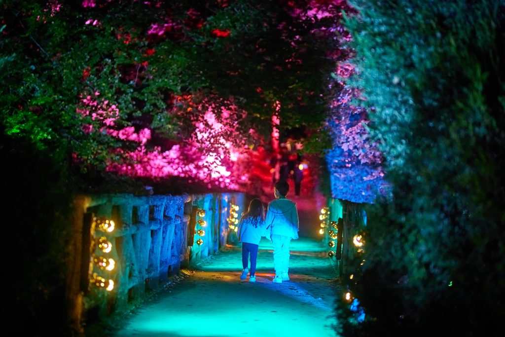 la hulpe terhulpen lanterna magica rtl 2022 château enchanté betoverde kasteel enchanted forest lighting sound