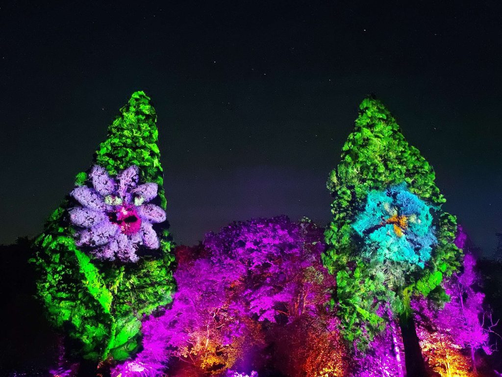 Lanterna Magica 2023 MB creations light and sound fairytale walk enchanted forest symphonie autumn la hulpe terhulpen betoverde bos wandeling chateau