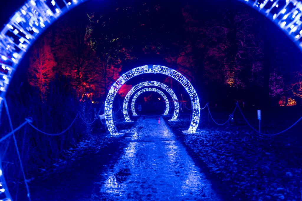 Lanterna Magica RTL Winter Lights 2024 MB creations light sound video rigging by Phlippo Productions magic forest castle domaine la hulpe terhulpen